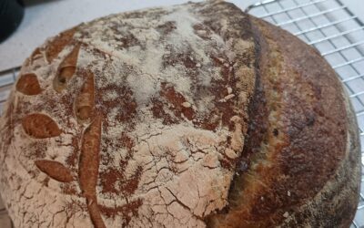 Sourdough Boule’